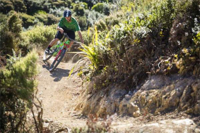 Kids Included in Wellington City Cycling Strategy