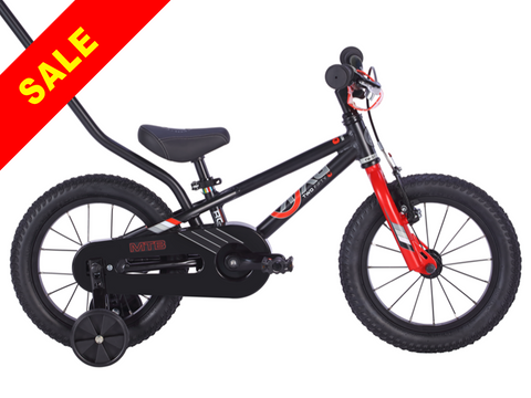 E-250 MTBx1 (Mountain Bike)