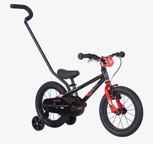 E-250 MTBx1 (Mountain Bike)