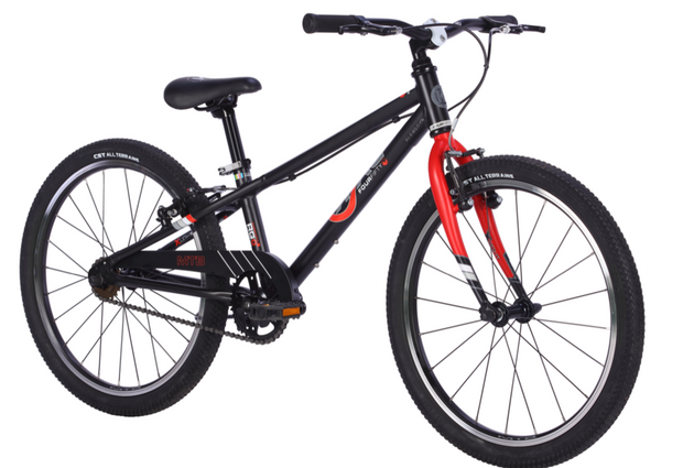 E-450 MTBx1 (Mountain Bike)